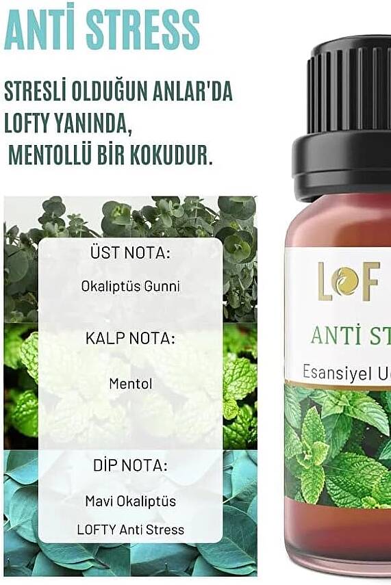 Anti Stress Uçucu Yağ Buhurdanlık Esansı Oda Kokusu Uçucu Esansiyel Yağ Buhur Yağı 10ML - 4