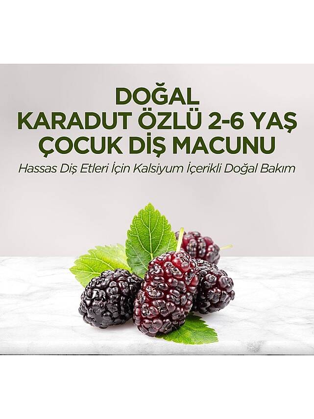 Eyüp Sabri Tuncer Doğal Karadut Özlü 2-6 Yaş Çocuk Diş Macunu 60 ml - 2