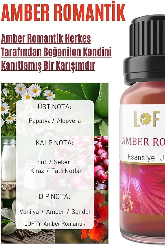 Lofty Amber Uçucu Yağ Buhurdanlık Esansı Oda Kokusu 10 ml - 2