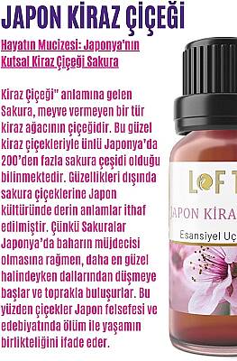 LOFTY Japon Kiraz Çiçeği Uçucu Yağ Buhurdanlık Esansı Oda Kokusu Esansiyel Yağ Buhur Yağı 10ML - 3
