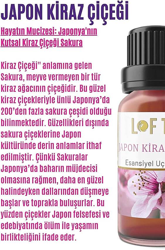 LOFTY Japon Kiraz Çiçeği Uçucu Yağ Buhurdanlık Esansı Oda Kokusu Esansiyel Yağ Buhur Yağı 10ML - 3