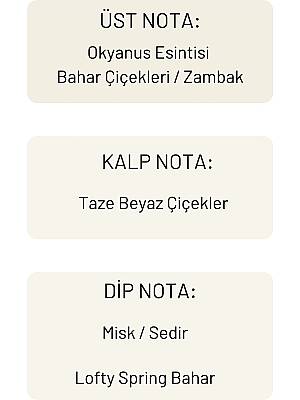 Lofty Spring Bahar Uçucu Yağ Buhurdanlık Esansı Konsantre Oda Kokusu Uçucu Esans Buhur Yağı 10 ml - 6