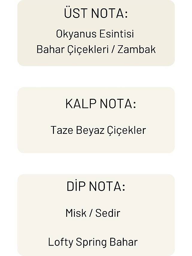 Lofty Spring Bahar Uçucu Yağ Buhurdanlık Esansı Konsantre Oda Kokusu Uçucu Esans Buhur Yağı 10 ml - 6