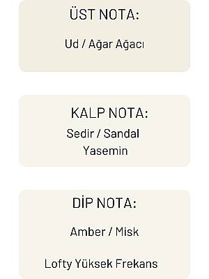 Lofty Yüksek Frekans Uçucu Yağ Buhurdanlık Esansı Konsantre Oda Kokusu Esans Buhur Yağı 10 ml - 3