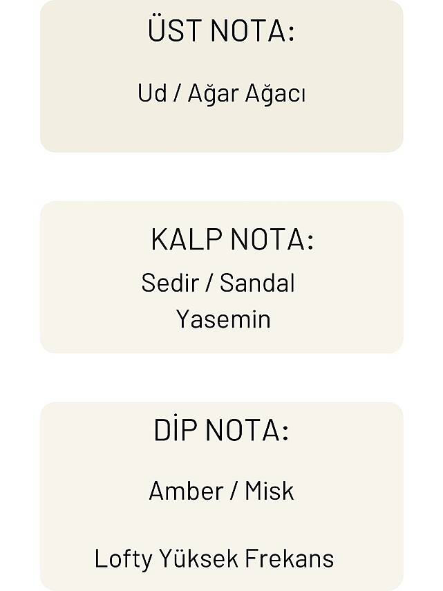 Lofty Yüksek Frekans Uçucu Yağ Buhurdanlık Esansı Konsantre Oda Kokusu Esans Buhur Yağı 10 ml - 3