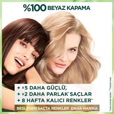 Nutrisse Yoğun Besleyici Saç Boyası 4.26- - 3